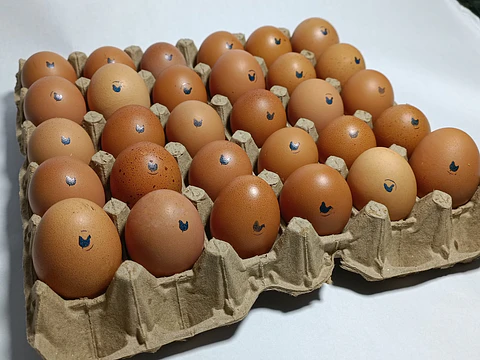 Cubeta de Huevos Campesinos x 30 