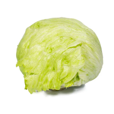 Lechuga Batavia Orgánica 