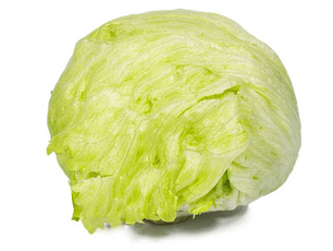 Lechuga Batavia Orgánica certificada Ecocert
