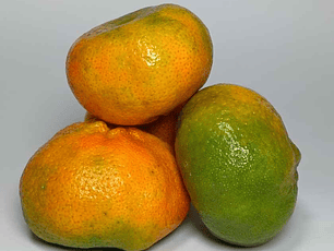 Mandarina tipo orgánica 500 g