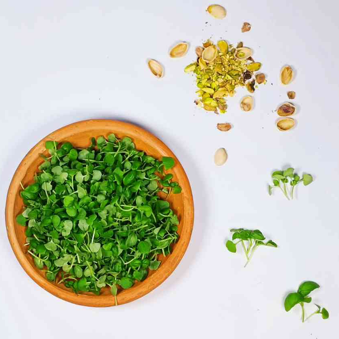 Microgreens de cilantro  30 gr