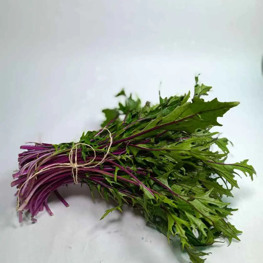 Mizuna morada orgánica 250 g 1
