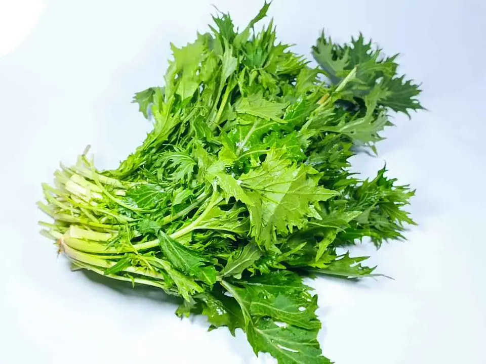 Mizuna verde orgánica 250 g 1