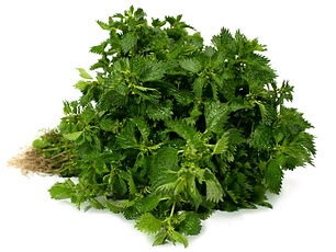 Ortiga Orgánica certificada 200 g