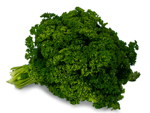 Perejil crespo orgánico 120 g