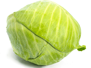 Repollo verde orgánico certificado Ecocert