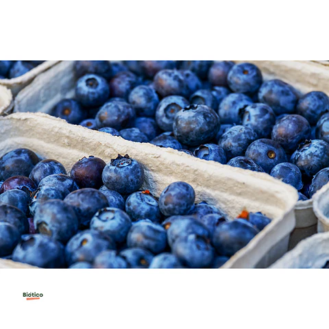 Arándanos orgánicos 250 g 