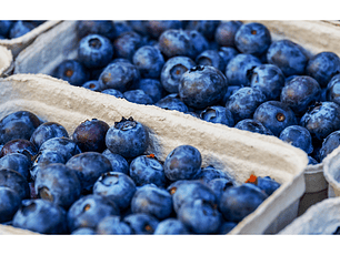 Arándanos tipo orgánico en huerta sin plástico 250 g