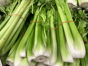 Apio organico certificado arroba 12 Kg