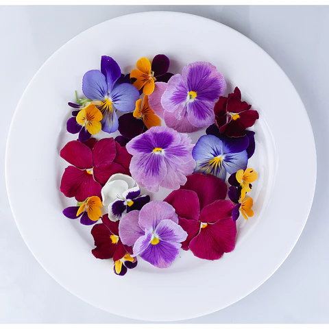 Flores Comestibles 50 unidades