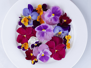 Flores comestibles 50 unidades