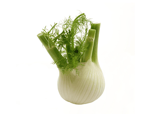 Bulbo de hinojo orgánico certificado 