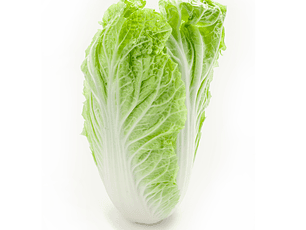 Col china orgánica certificada 