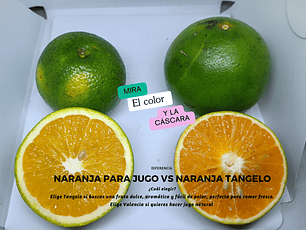 Naranja tangelo tipo orgánica 500 g