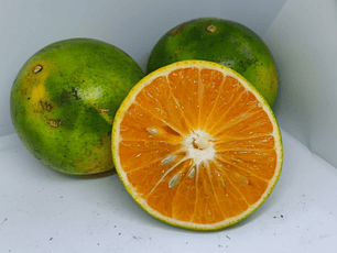 Naranja tangelo tipo orgánica 500 g