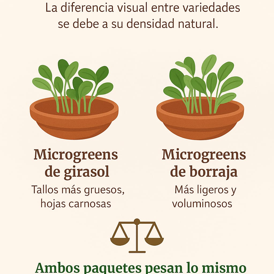 Microgreens borraja 30 g  2