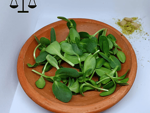 Microgreens girasol 50 g