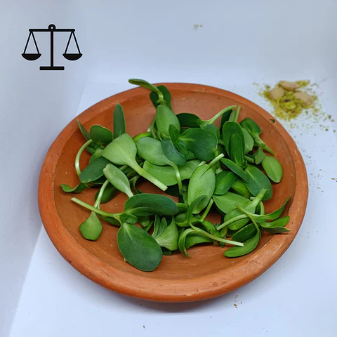 Microgreens girasol 30 g