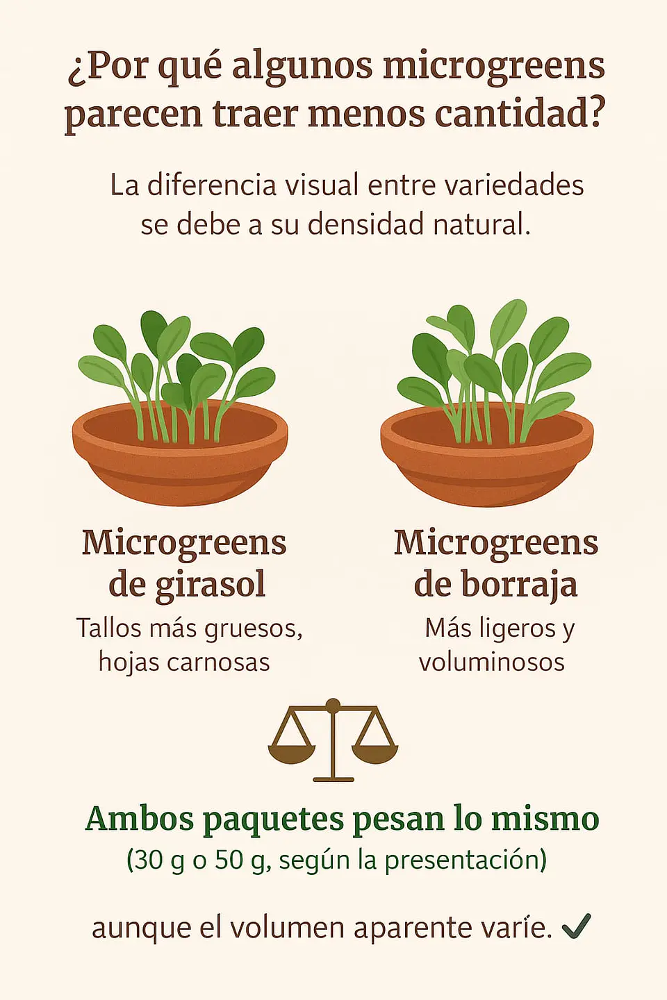 Microgreens girasol 30 g 2