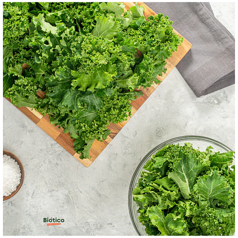 kale orgánico lavado y listo para comer 200 g