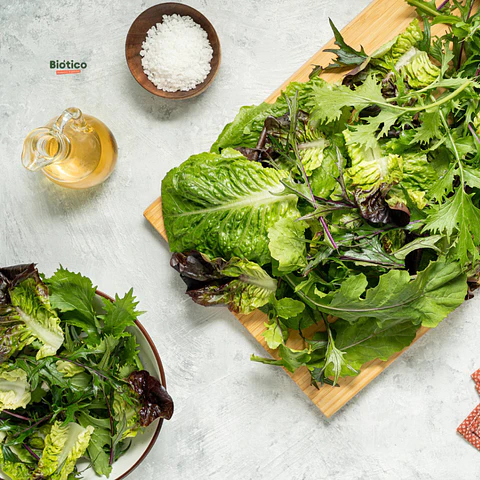 Ensalada orgánica lista con rúgula 200 g