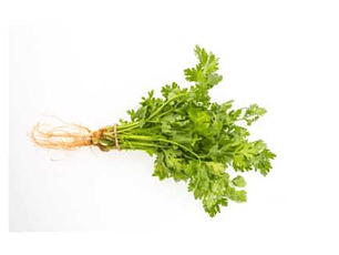 Cilantro orgánico certificado 50 g