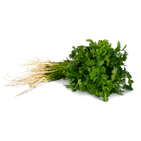 Cilantro orgánico 120  g