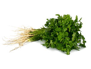 Cilantro orgánico certificado certificado Ecocert  120  g