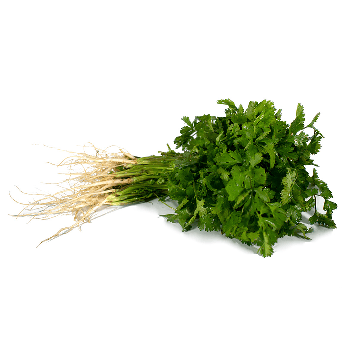 Cilantro orgánico certificado certificado Ecocert  120  g 1