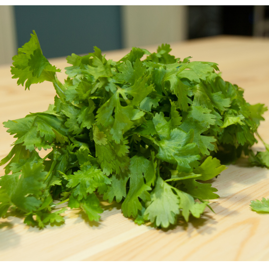 Cilantro orgánico certificado certificado Ecocert  120 g 1