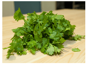 Cilantro orgánico certificado certificado Ecocert  50 g