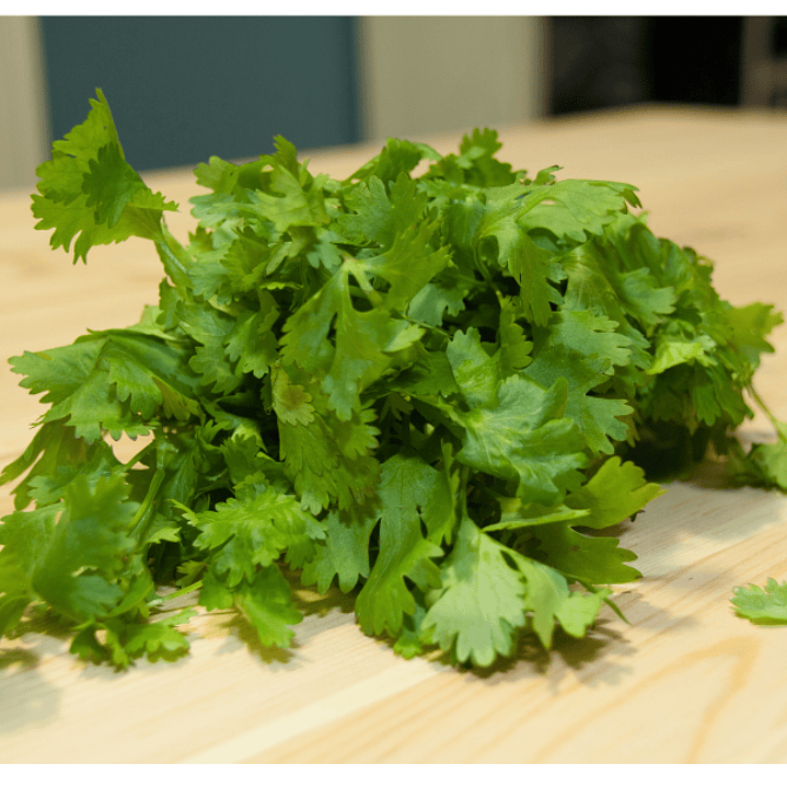 Cilantro orgánico certificado certificado Ecocert  120 g 1