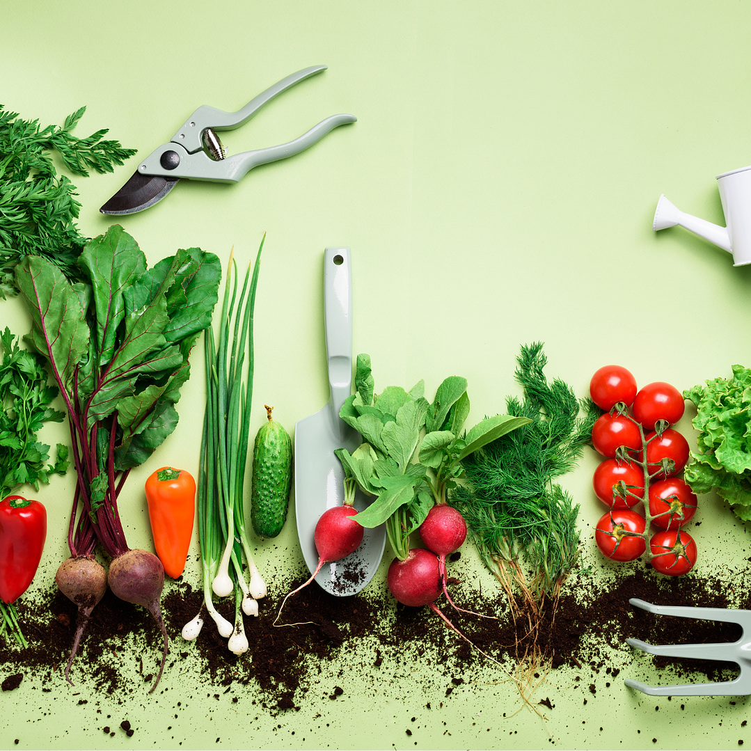 .Todos nuestros productos  1