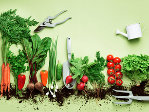 .Todos nuestros productos 