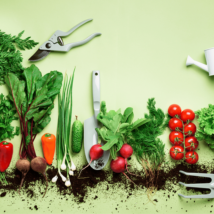 .Todos nuestros productos  1