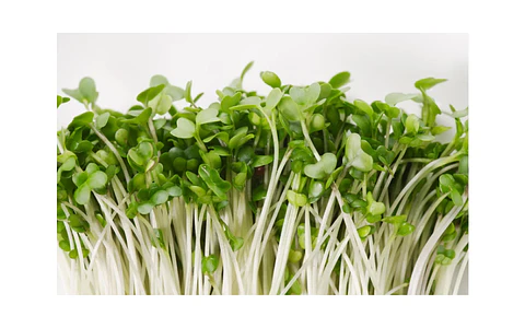 Microgreens de brócoli 30 g