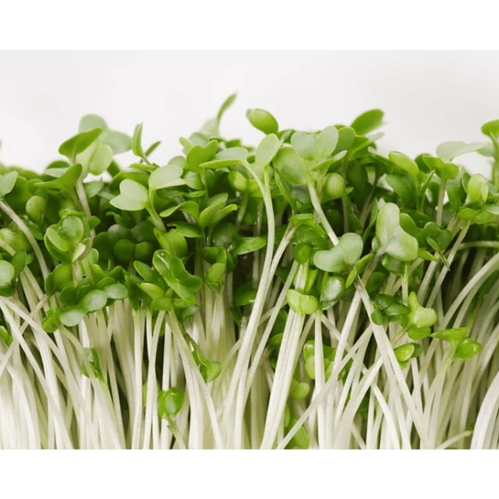 Microgreens de brócoli 30 g 1