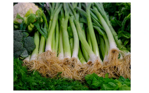 Cebolla Kiyotaki Orgánica 300 g