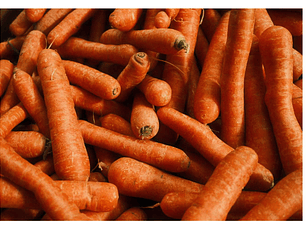 Zanahoria Orgánica certificada Ecocert 6 Kg