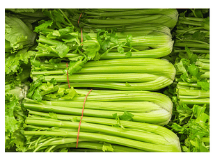 Apio orgánico certificada Ecocert 24 libras 