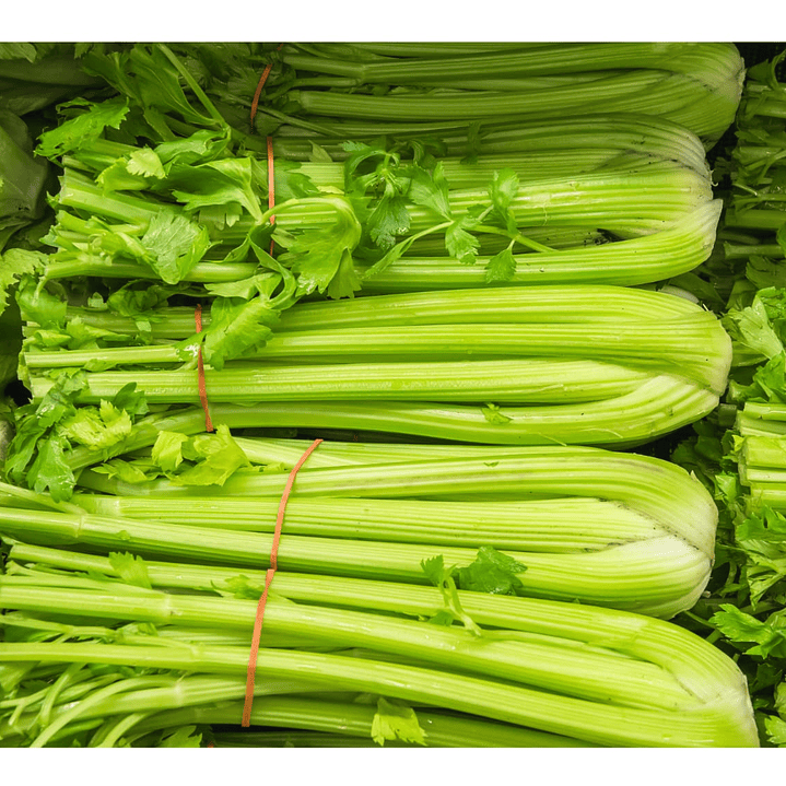 Apio orgánico certificada Ecocert 24 libras  1