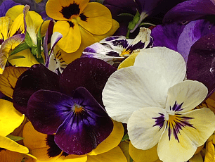 Flores Comestibles 30 unidades 