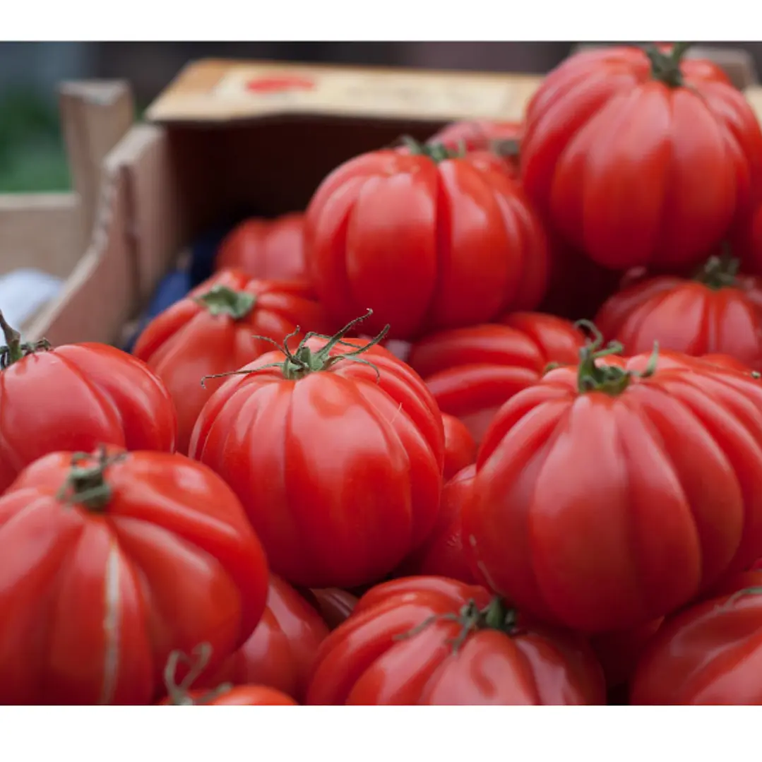 Tomate Monterrosa 1 lb 1