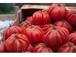 Tomate Monterrosa 1 lb