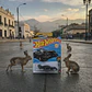 Hot Wheels - La Liebre - Dream Garage 2/5. Escala 1:64 Auto de Juguete Coleccionable - Miniatura 3