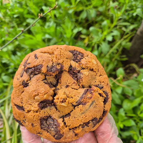 Galleta Chewy NYStyle Chocolate y nueces Sin azúcar refinada