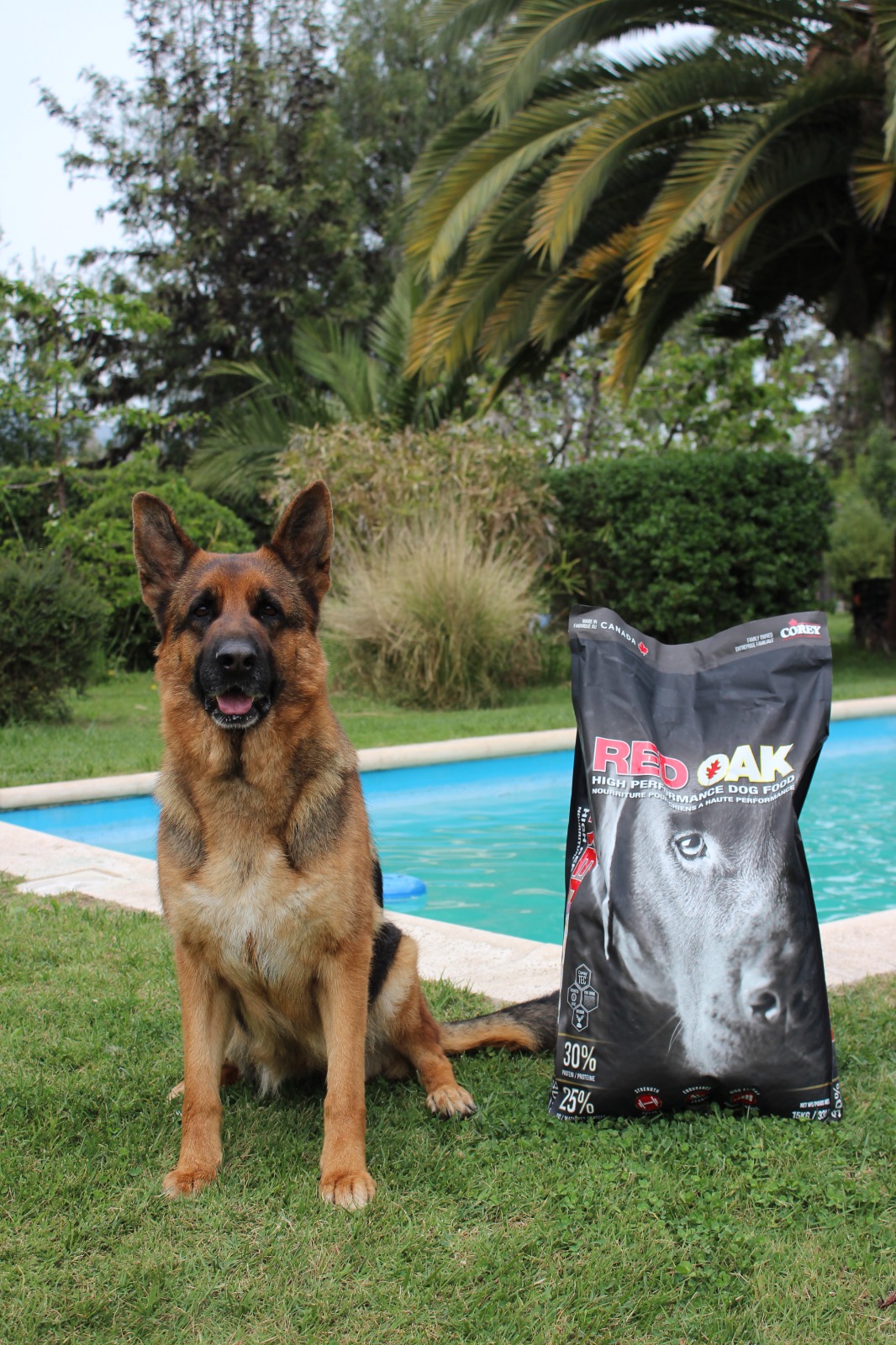 Alimento para Perro Red Oak High Performance 15 kg 2