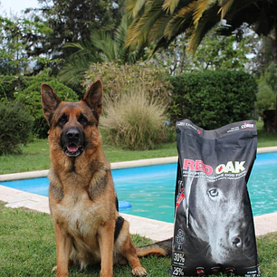 Alimento para Perro Red Oak High Performance 15 kg