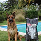 Alimento para Perro Red Oak High Performance 15 kg - Miniatura 2