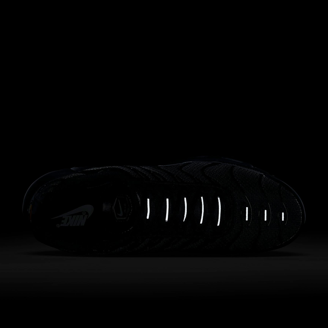 Nike Air Max Plus 10